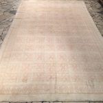 00223 - Antique Cotton Agra Carpet - 308 cm x 181 cm - 4