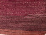 01620-Rug with punctuated field-det2