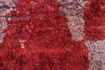 00831-Boucherouite rug with animal pelt pattern-det4